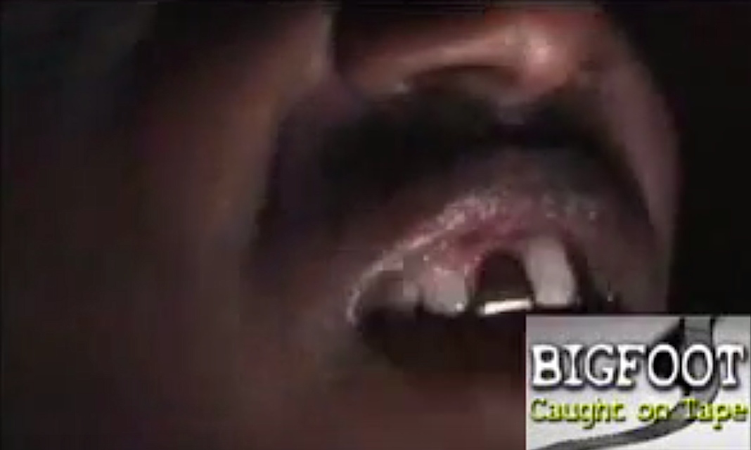 A scene from the horror movie Bigfoot caught on Tape