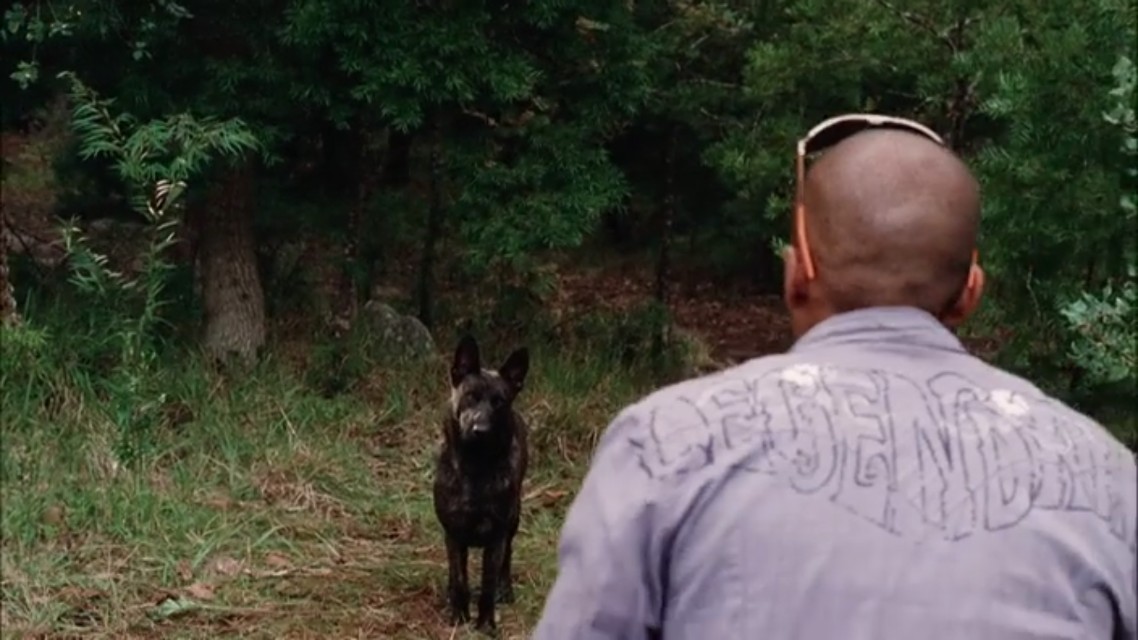 A scene from the horror movie The Breed