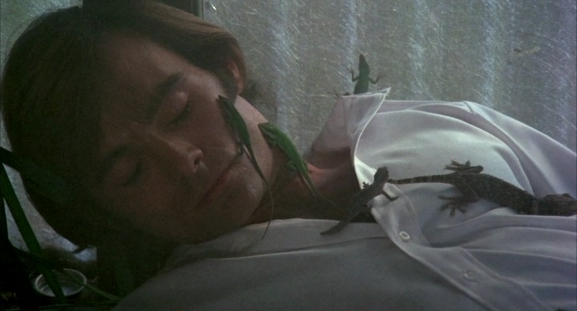 A scene from the horror movie Frogs