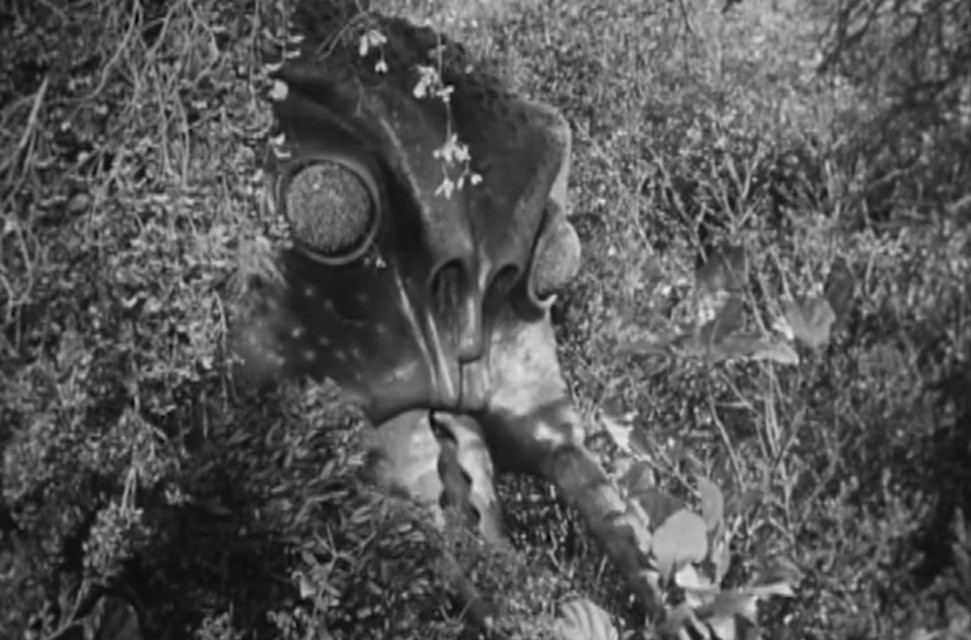 A scene from the movie Monster from Green Hell