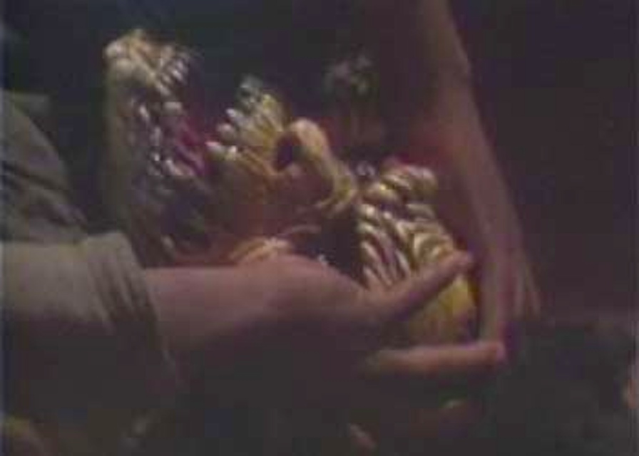 A scene from the horror movie Deathly Realities