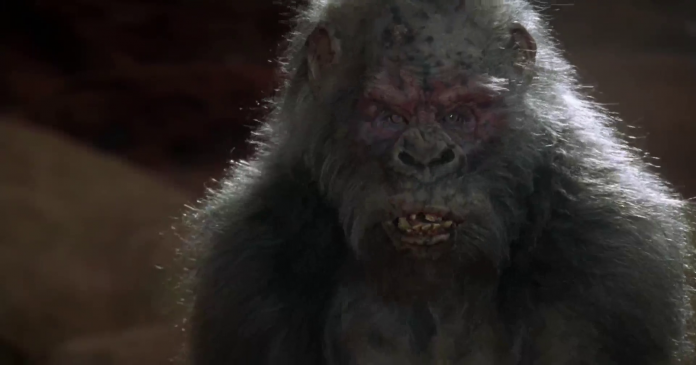 Killer gorilla in Congo horror movie