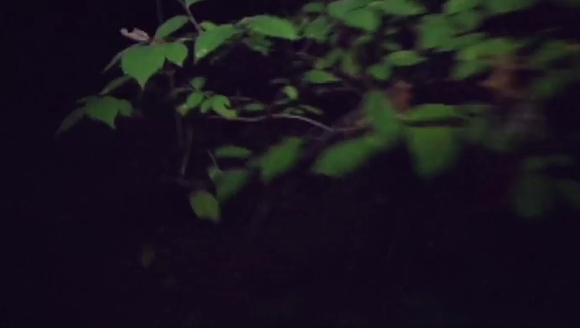 A scene from the horror movie The Final Project