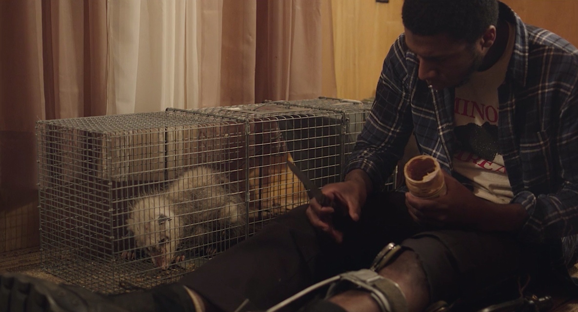 A scene from the movie The Anarchist Cookbook