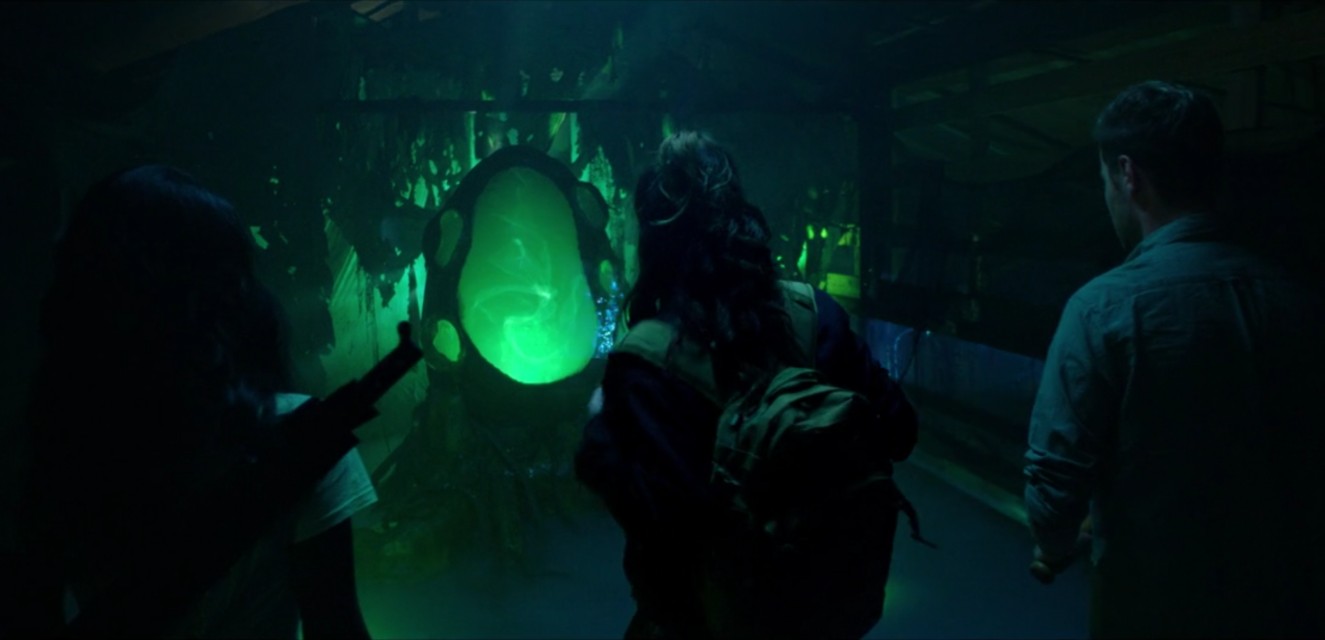 A scene from the horror movie Into the Dark: Crawlers