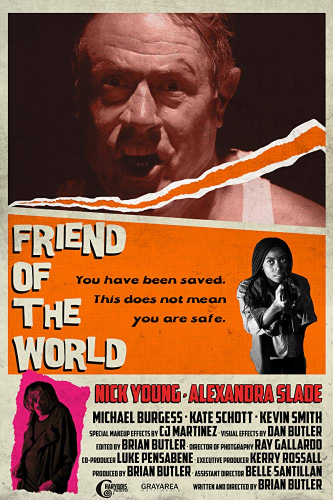 Friend of the World movie poster
