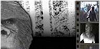 Bigfoot Caught on Tape (2006)