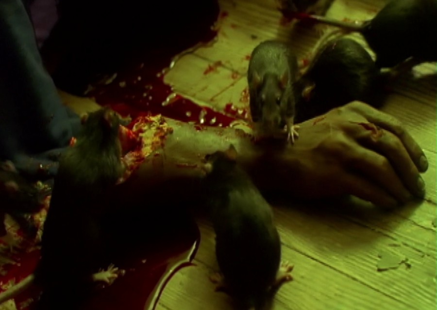 A scene from the horror movie Hood Rat (Tara)
