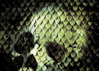 Anacondas: The Hunt for the Blood Orchid (2004) Anacondas: Hunt for the Blood Orchid movie poster