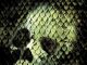 Anacondas: Hunt for the Blood Orchid movie poster