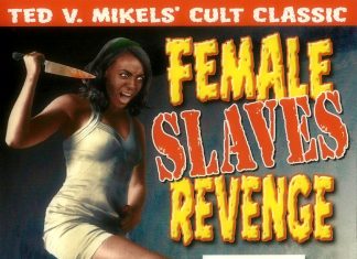 Female Slaves Revenge (AKA Apartheid Slave Women’s Justice) (1997) Female Slaves Revenge movie poster