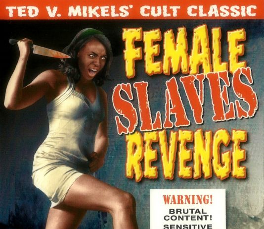 Female Slaves Revenge (AKA Apartheid Slave Women’s Justice) (1997) Female Slaves Revenge movie poster