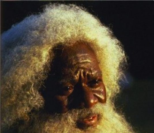 The House of Dies Drear (1984) The House of Dies Drear movie poster