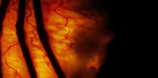 Jeepers Creepers 2 (2003) Jeepers Creepers 2 horror movie poster