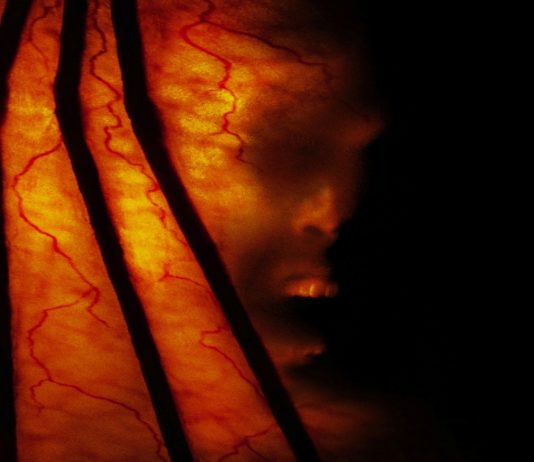 Jeepers Creepers 2 (2003) Jeepers Creepers 2 horror movie poster