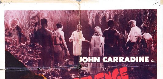 Revenge of the Zombies horror movie poster