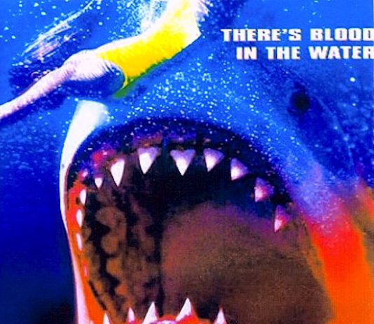 Shark Attack (1999) Movie poster for Shark Attack