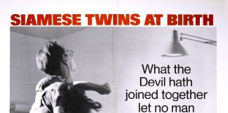 Sisters (1973) Brian De Palma's Sisters horror movie poster