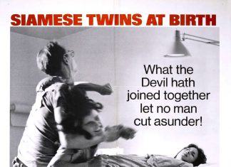 Sisters (1973) Brian De Palma's Sisters horror movie poster
