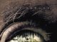 The Skeleton Key horror movie poster Kate Hudson voodoo hoodoo