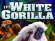 The White Gorilla movie poster