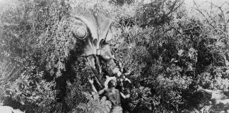 Africa: Evil or Just Misunderstood? Giant wasp in Monster from Green Hell horror movie