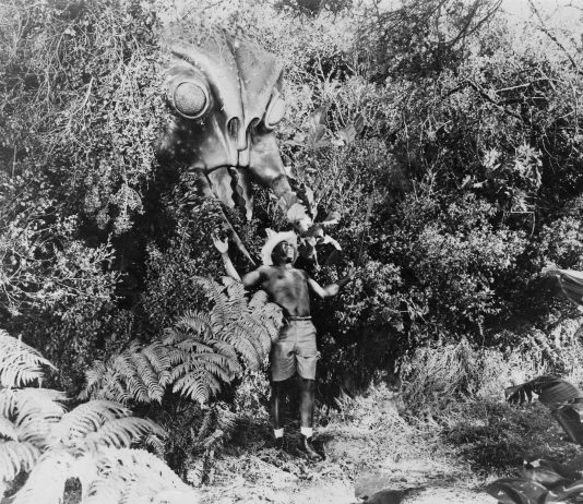 Africa: Evil or Just Misunderstood? Giant wasp in Monster from Green Hell horror movie