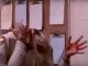 Jerry White, Basket Case 3 (1991)