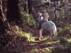 Nameless child, The Oblong Box (1969)