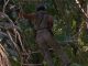 Carl Weathers, Predator (1987)