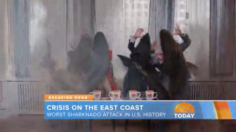 Al Roker, Sharknado 3: Oh Hell No! (2015)