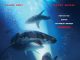 47 Meters Down