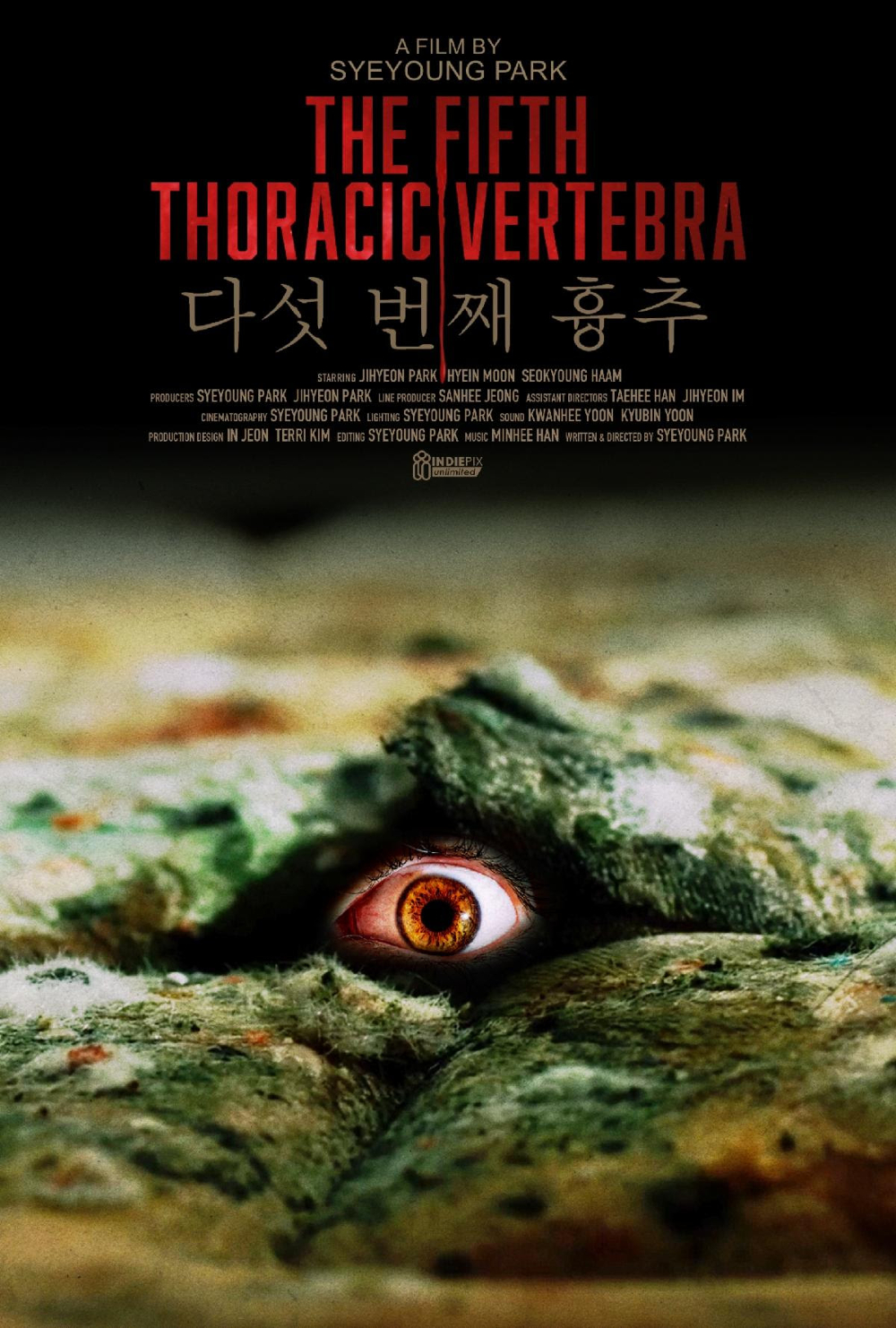 The Fifth Thoracic Vertebra