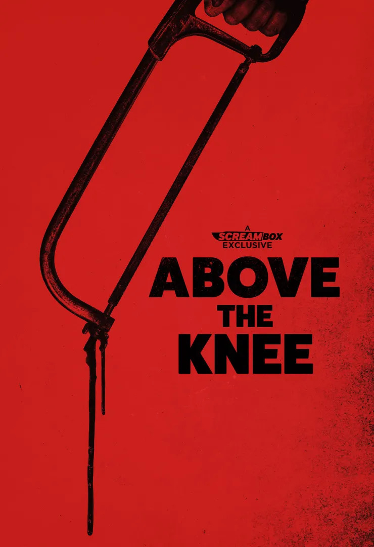 Above the Knee