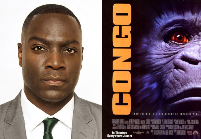 Adewale Akinnuoye-Agbaje, Congo