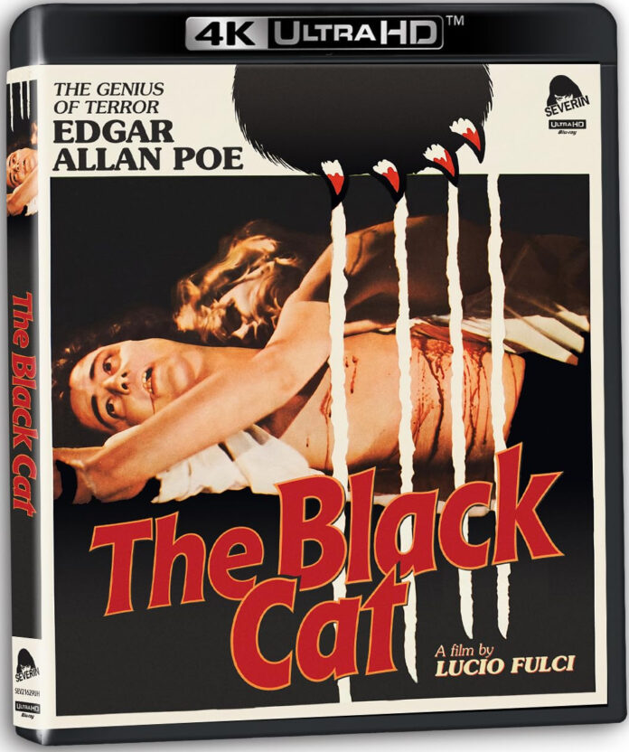 The Black Cat 4K