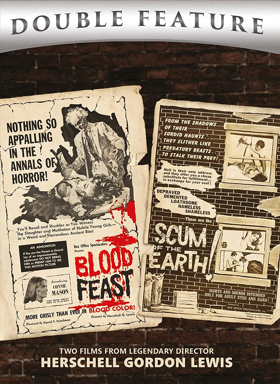 Blood Feast / Scum of the Earth Double Feature
