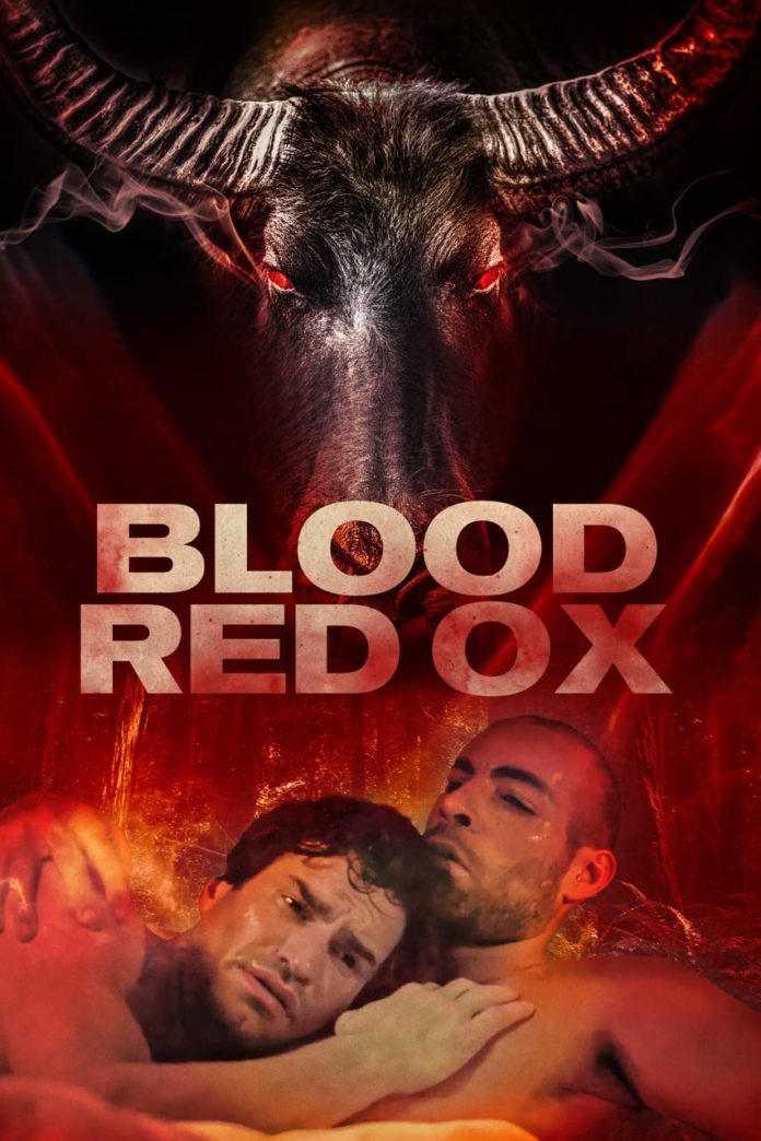 Blood Red Ox