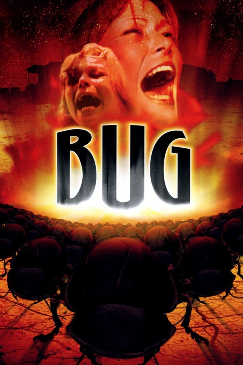Bug