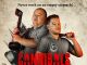 Cannibals and Carpet Fitters