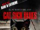 Cat Sick Blues