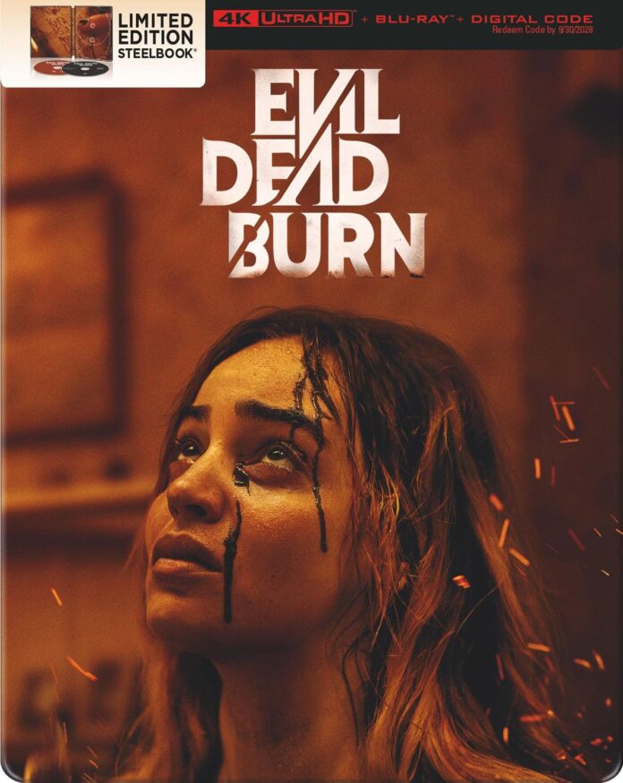 Evil Dead Burn 4K