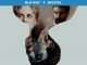 The Killing of a Sacred Deer