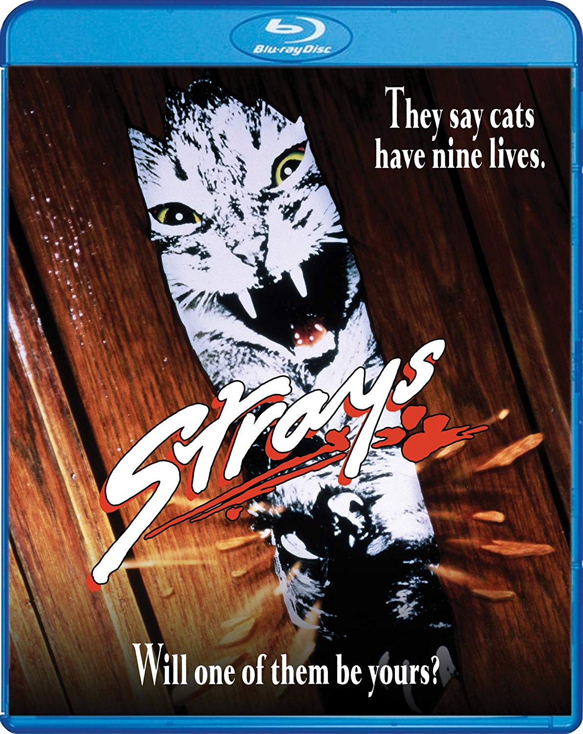 Strays