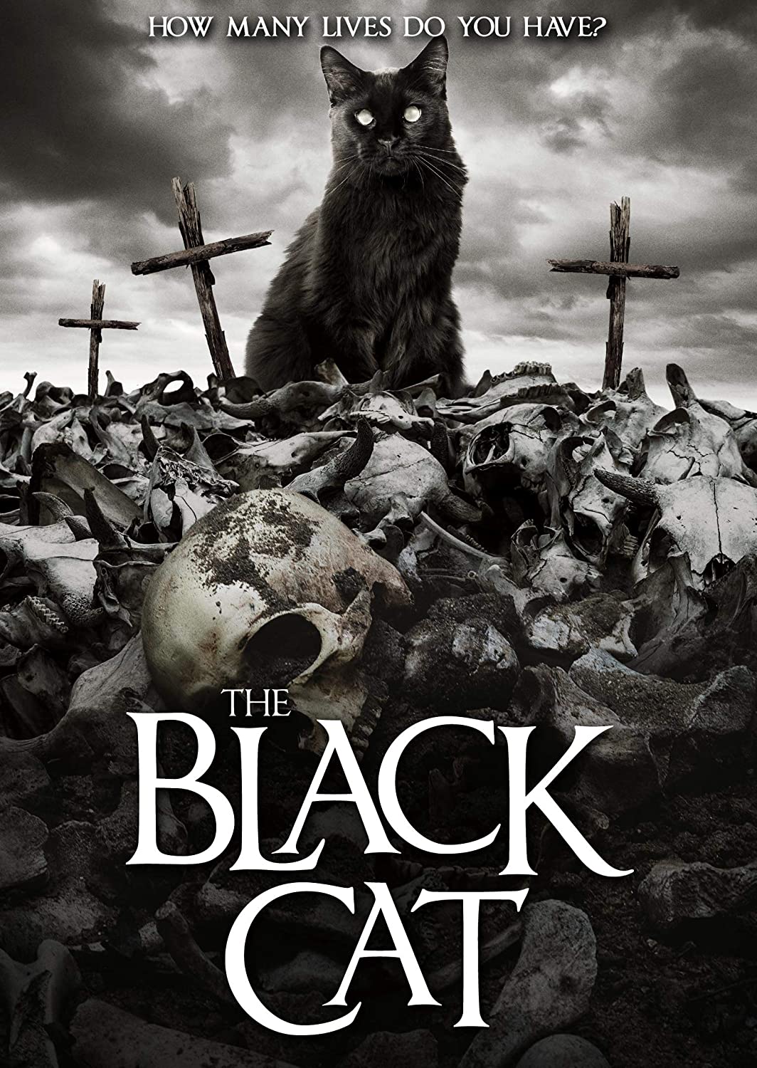 The Black Cat