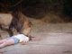 A scene from the horror movie Zoombies