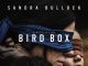 Bird Box