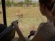 A scene from the horror movie Safari