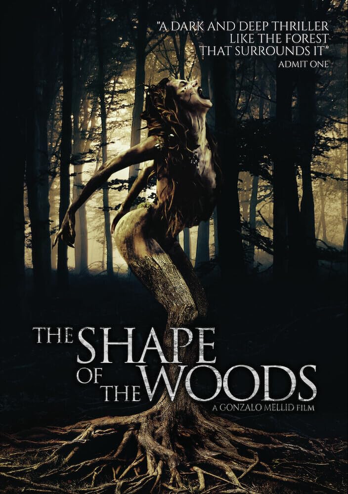 The Shape of the Woods